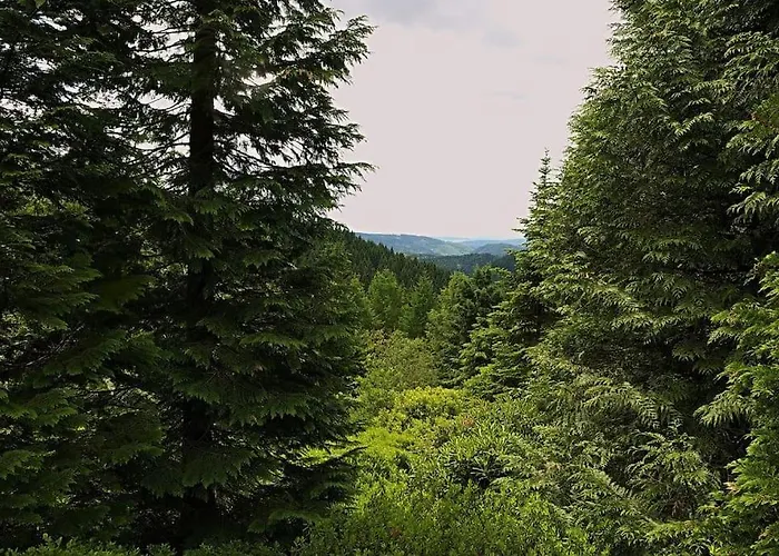 Ferienhaus „schlupfwinkel“, Kostenloser Parkplatz, Vollausstattung *